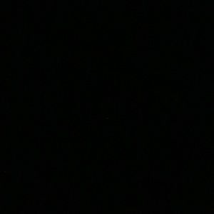 Meet your Posher, Evelyn